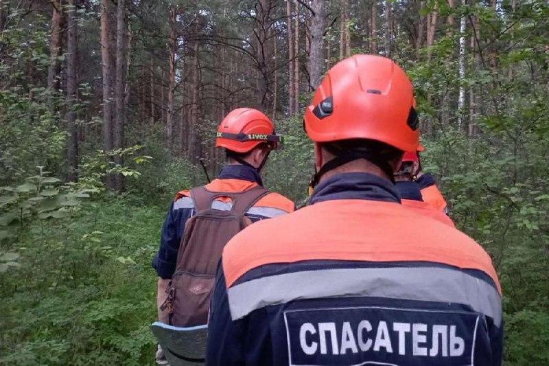 В Курьинском районе, где ищут парня и девушку, поиски уже помогают вести коптеры организации "ПриоритетАгро". По распоряжению врио начальника ГУ МВД РФ генерал-майора полиции Марка Левина в район поиска сегодня прибывают специалисты с беспилотниками.