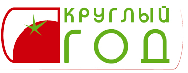 «Круглый год» в Пикалёве открыл губернатор Ленобласти