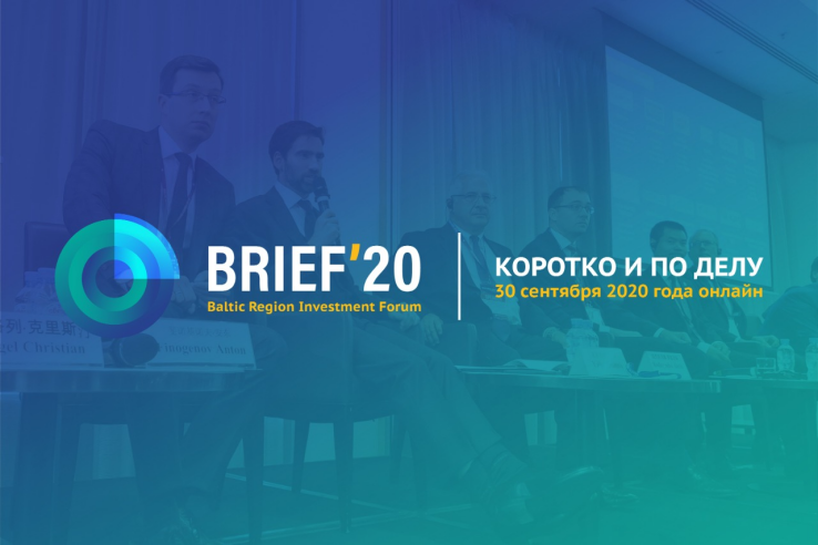 Ленобласть встречает BRIEF ´ 2020