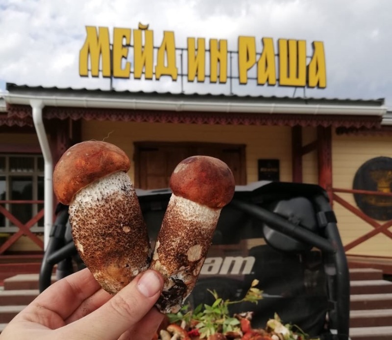 Тихая охота