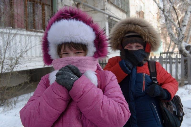 В Ленинградскую область пришли настоящие январские морозы.