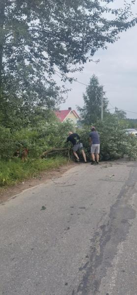  Новый тротуар по местным инициативам