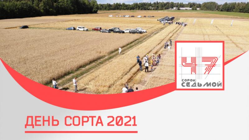 День сорта 2021