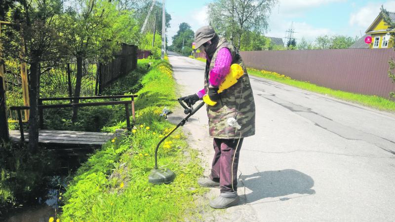 «Уличный комитет» в действии 