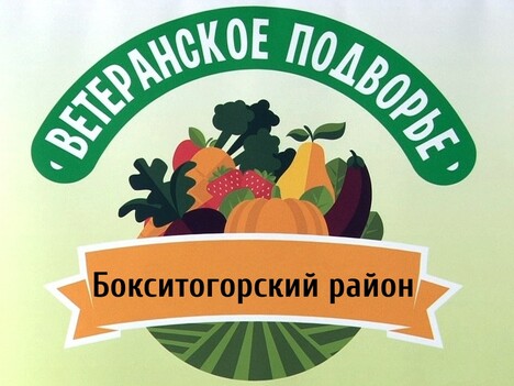 Николай Пустотин: «Участники смотра-конкурса «Ветеранское подворье» украшают мир»