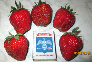 Урожай