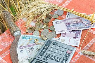 Более 332 млн рублей выделено Саратовской области из федерального бюджета на поддержку инвесторов агропромышленного комплекса