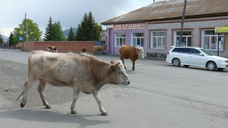 Где находится истина?