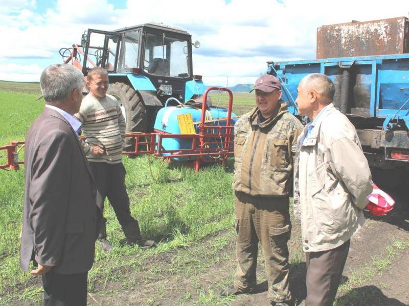 Посмотрели посевы, оценили всходы