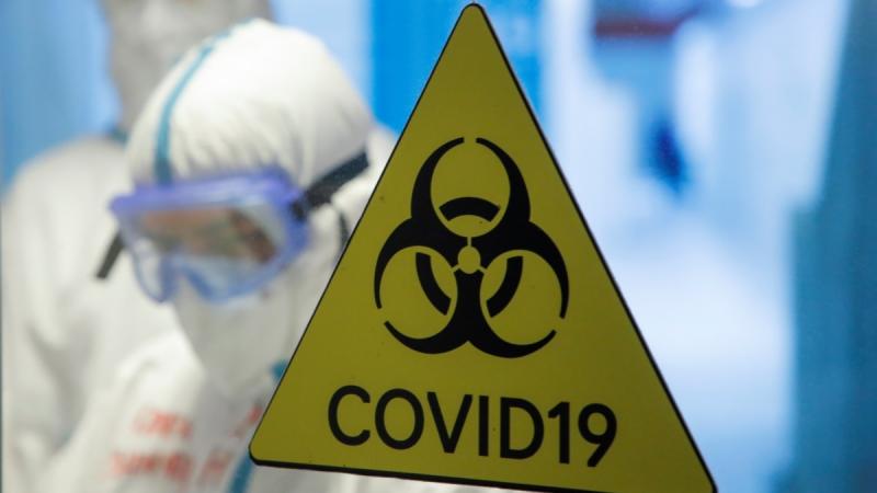 COVID-террорист: убивает каждый день