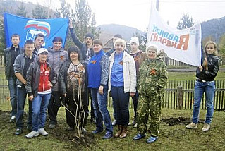 «Сирень Победы»