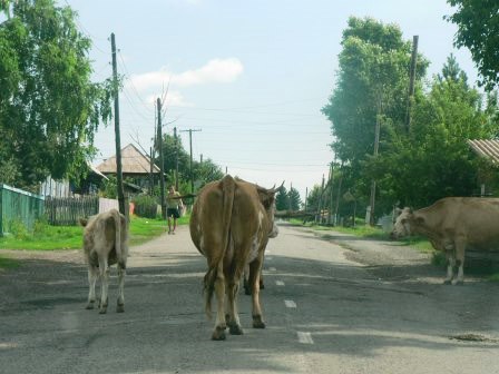 «Всё зависит от владельцев»