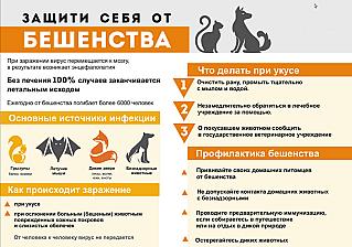 Бешенство – опасная болезнь!