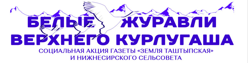 Не заслужили они забвения