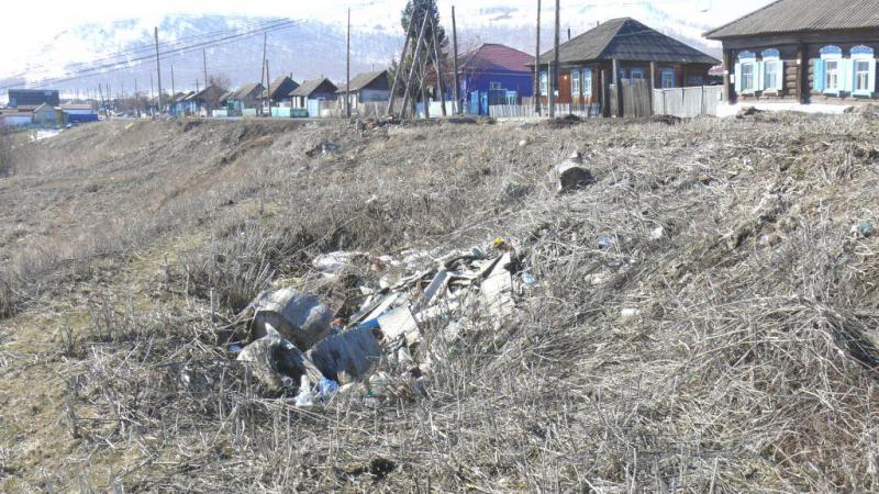 «Подснежники» нашего  (чьего же ещё?) позора...