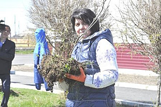 И пусть растут таштыпские рябинки на бейской земле