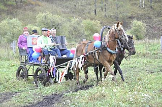 Досрочное голосование в Большом Бору