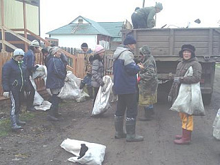 В селе стало чище