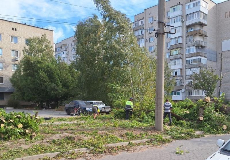 В Токмаке работники коммунальных служб устраняют последствия шквалистого ветра