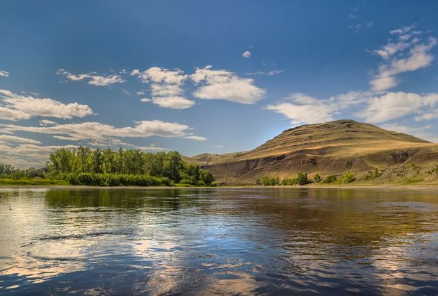 Создать иммунитет против невидимого врага: пути борьбы с туберкулёзом у детей