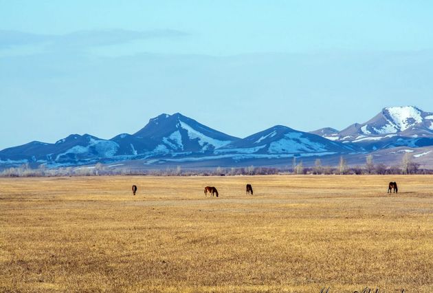 Права ребёнка в XXI веке