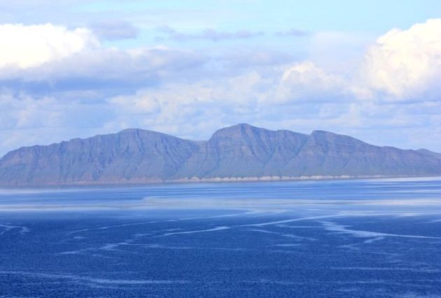 Все обращения приняты в работу