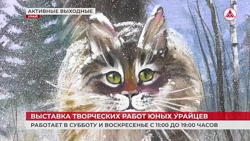 АКТИВНЫЕ ВЫХОДНЫЕ.