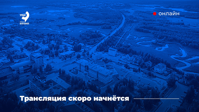 Заседание комиссии по социальной политике Думы города Урай 20.11.2024