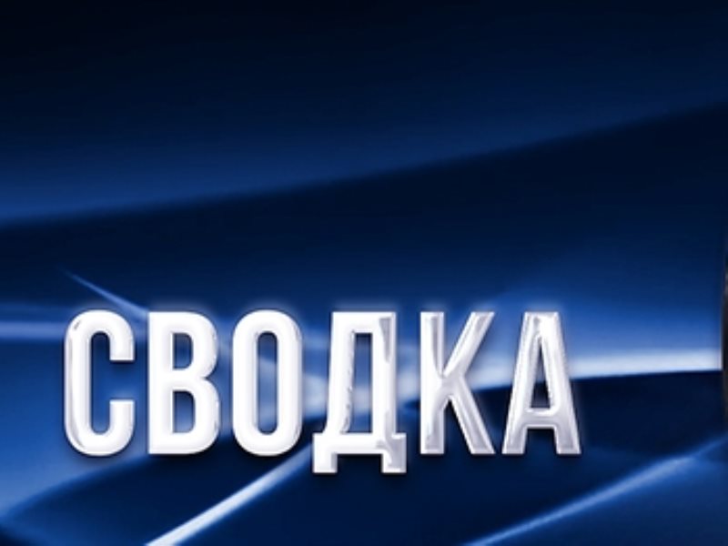 Сводка правонарушений