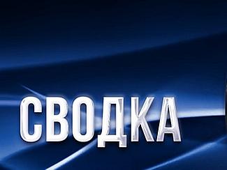 Сводка правонарушений