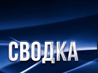 Сводка правонарушений