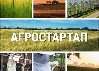 Информация о начале приема заявок в целях проведения конкурсного отбора на предоставление в 2022 году грантов «Агростартап»