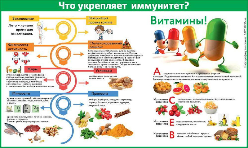 Как питаться в межсезонье, чтобы меньше болеть?