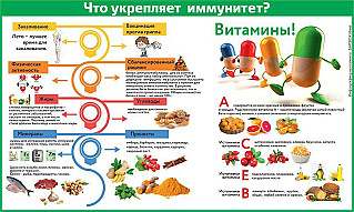 Как питаться в межсезонье, чтобы меньше болеть?