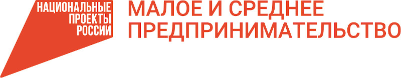 В рамках национального проекта «Малое и среднее предпринимательство и поддержка индивидуальной инициативы» молодые предприниматели и социальные предприятия смогут получать гранты раз в три года