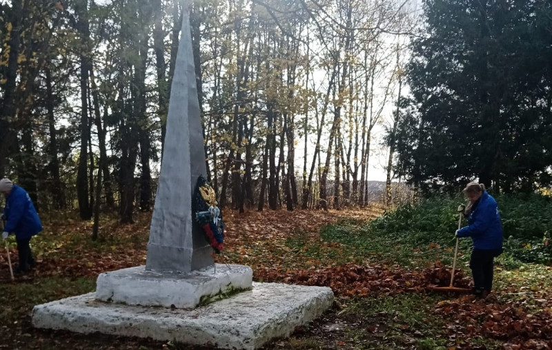 Чистая страна в Богородицком