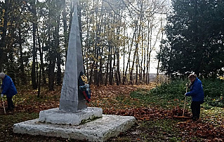 Чистая страна в Богородицком