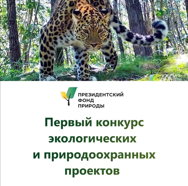 1 апреля стартовал первый конкурс экологических  и природоохранных проектов
