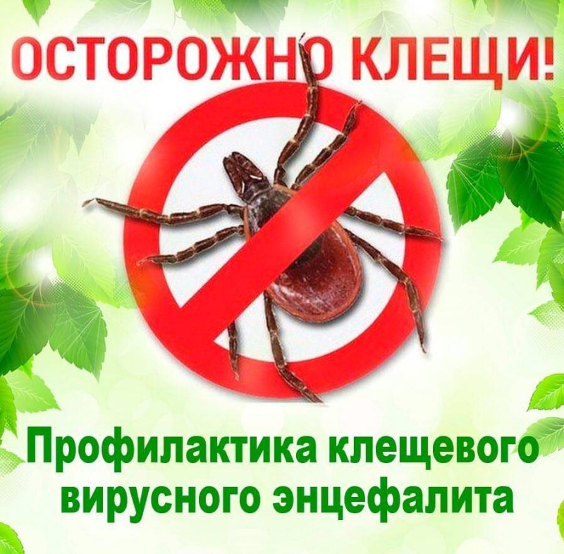 О Всероссийской горячей линии по профилактике клещевого энцефалита и инфекций, передающихся клещами