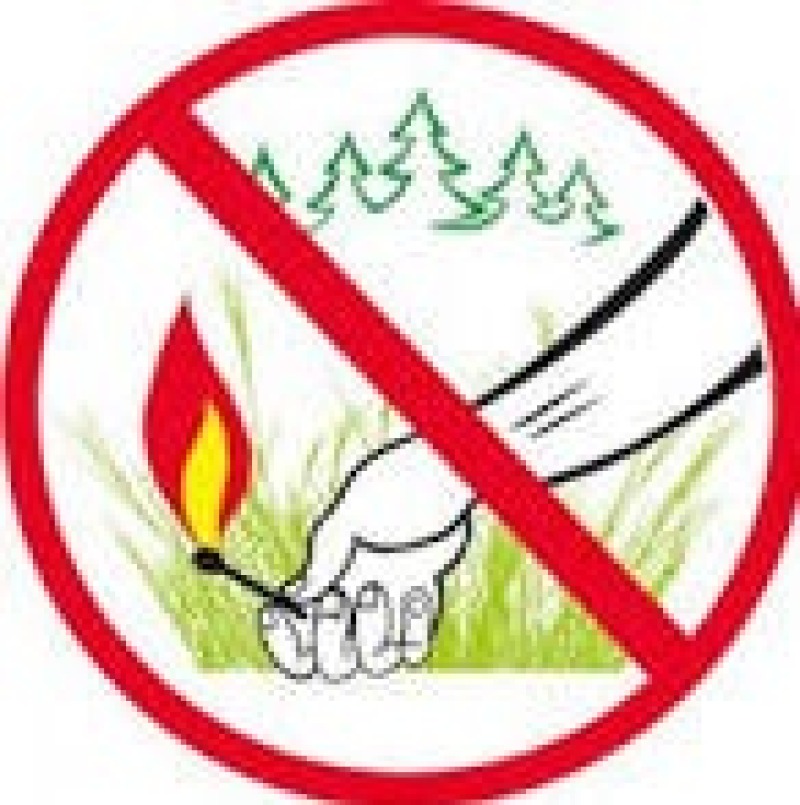 ОНД и ПР Дорогобужского, Глинковского и Ельнинского районов: Берегите лес от огня!