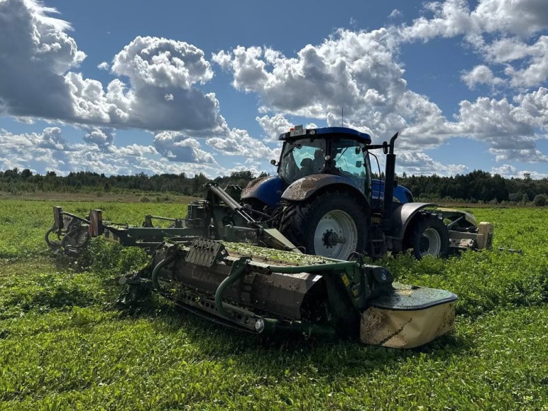 Погода в этом году диктует аграриям свои условия