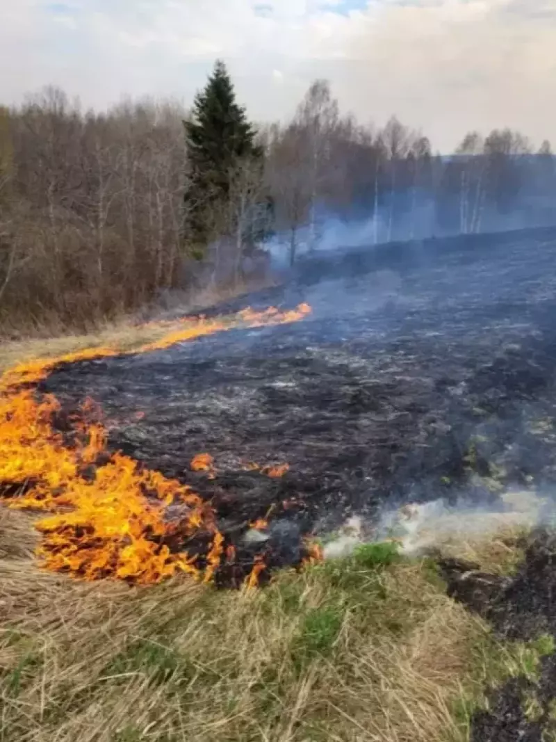 Смоленские лесопожарные преодолели в патрулях почти 15 тысяч километров
