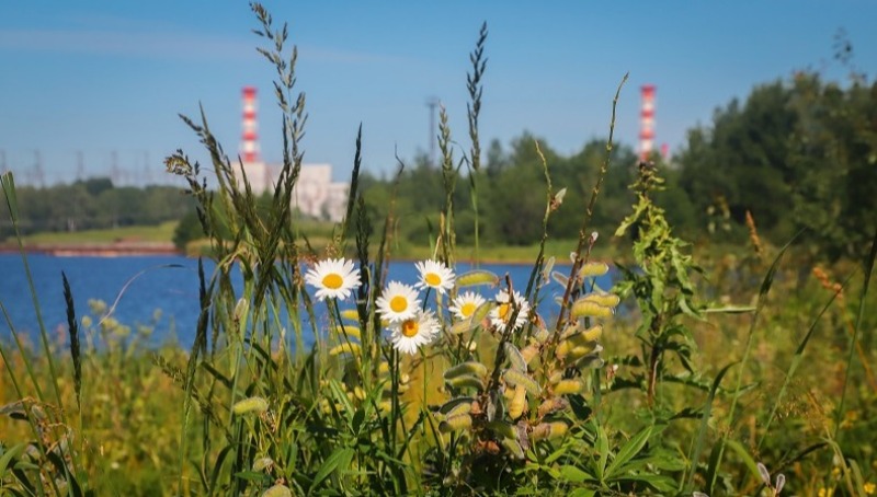 Смоленская АЭС представила общественности и журналистам региона отчёт по экологической безопасности
