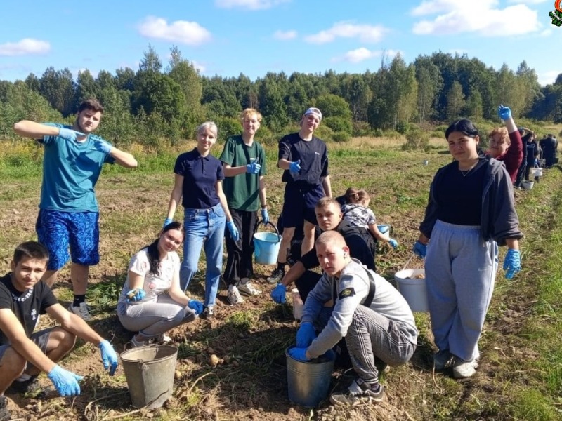 Смоленские студенты помогают в сборе урожая