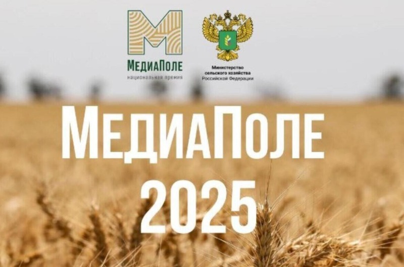 Национальная премия «МедиаПоле»