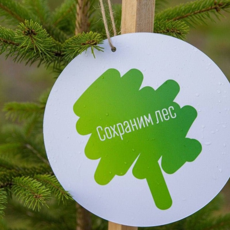 Смоленская область присоединилась к акции «Сохраним лес»