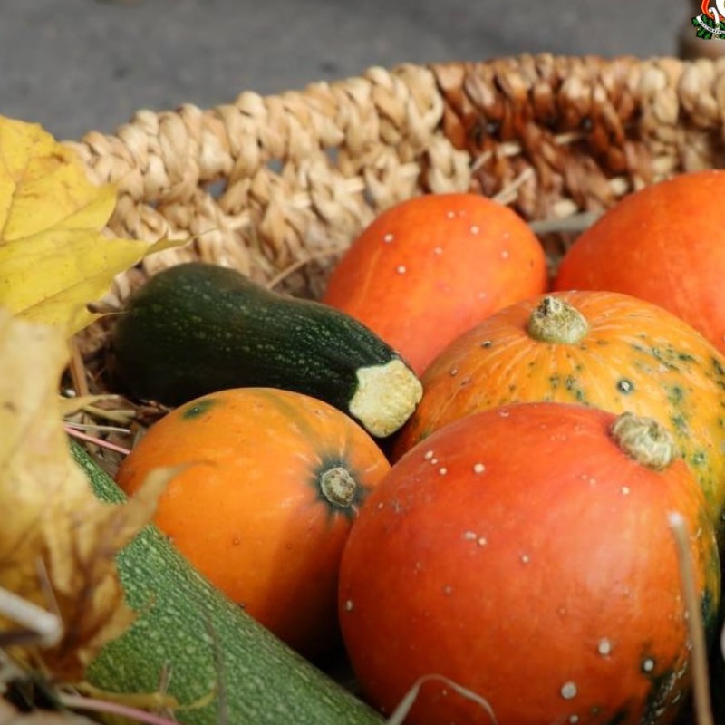 В Смоленске прошли традиционные сельскохозяйственные ярмарки