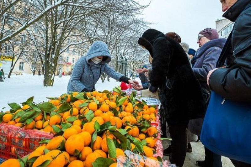 В Смоленской области открываются новогодние ярмарки