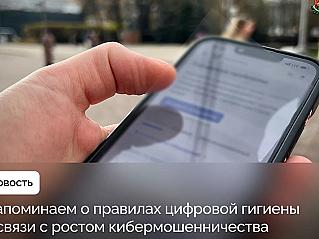 Напоминаем смолянам о правилах цифровой гигиены