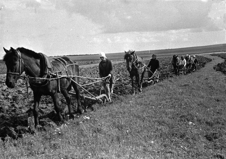 О жизни смоленских крестьян  в XIX веке